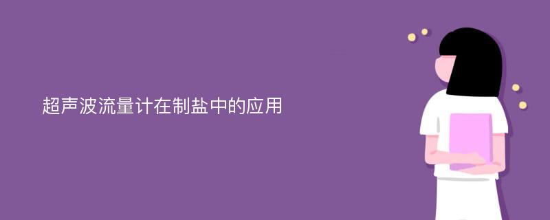 超声波流量计在制盐中的应用