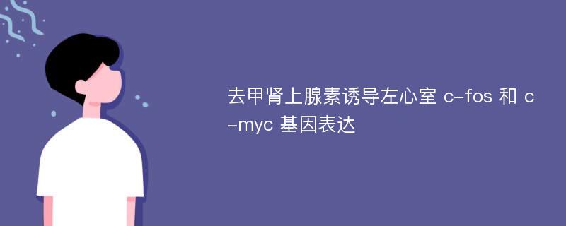 去甲肾上腺素诱导左心室 c-fos 和 c-myc 基因表达