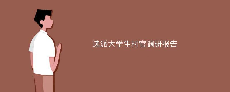 选派大学生村官调研报告