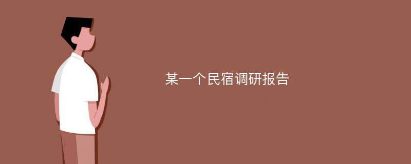 某一个民宿调研报告