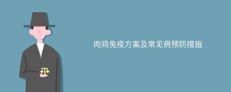 肉鸡免疫方案及常见病预防措施