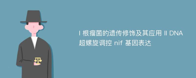 I 根瘤菌的遗传修饰及其应用 II DNA 超螺旋调控 nif 基因表达