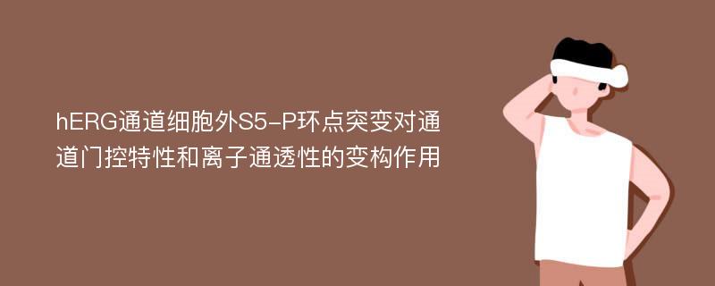 hERG通道细胞外S5-P环点突变对通道门控特性和离子通透性的变构作用