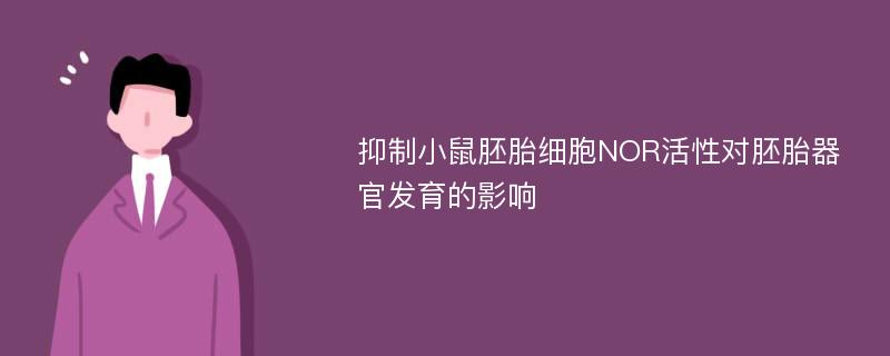 抑制小鼠胚胎细胞NOR活性对胚胎器官发育的影响