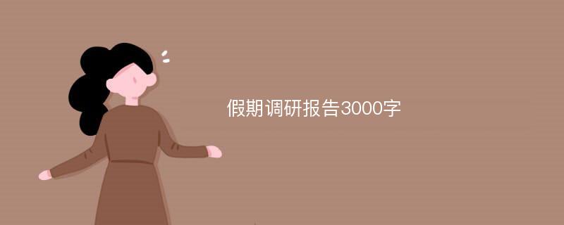 假期调研报告3000字