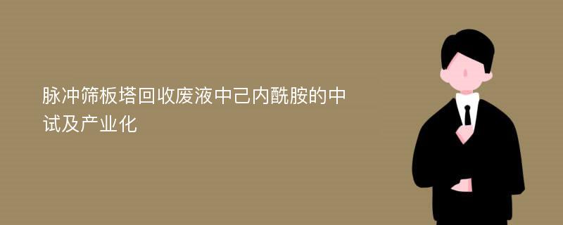 脉冲筛板塔回收废液中己内酰胺的中试及产业化