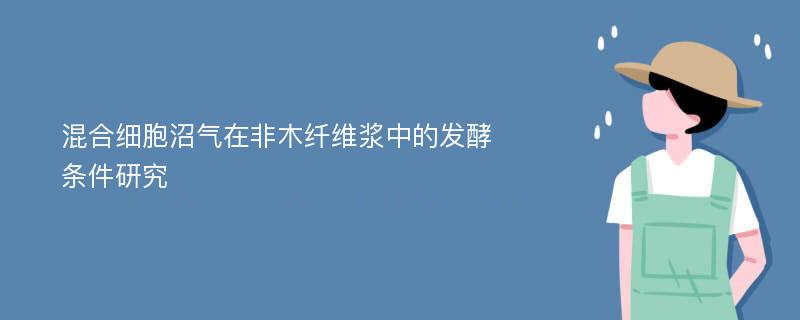 混合细胞沼气在非木纤维浆中的发酵条件研究