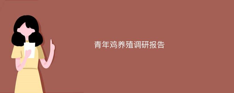 青年鸡养殖调研报告