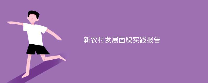 新农村发展面貌实践报告