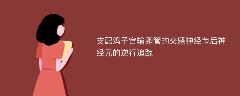 支配鸡子宫输卵管的交感神经节后神经元的逆行追踪